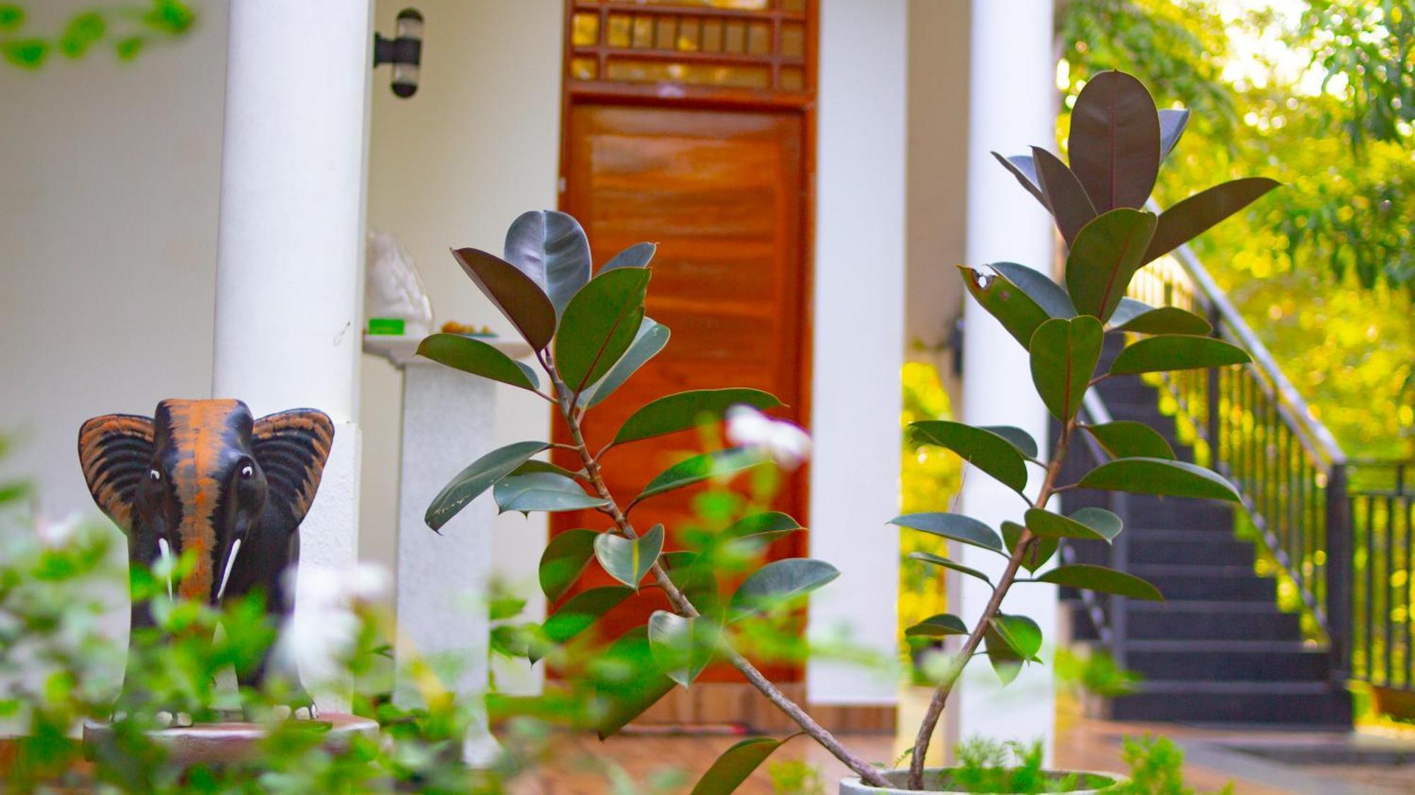 Yala Safari River View Hotel Tissamaharama Exterior photo