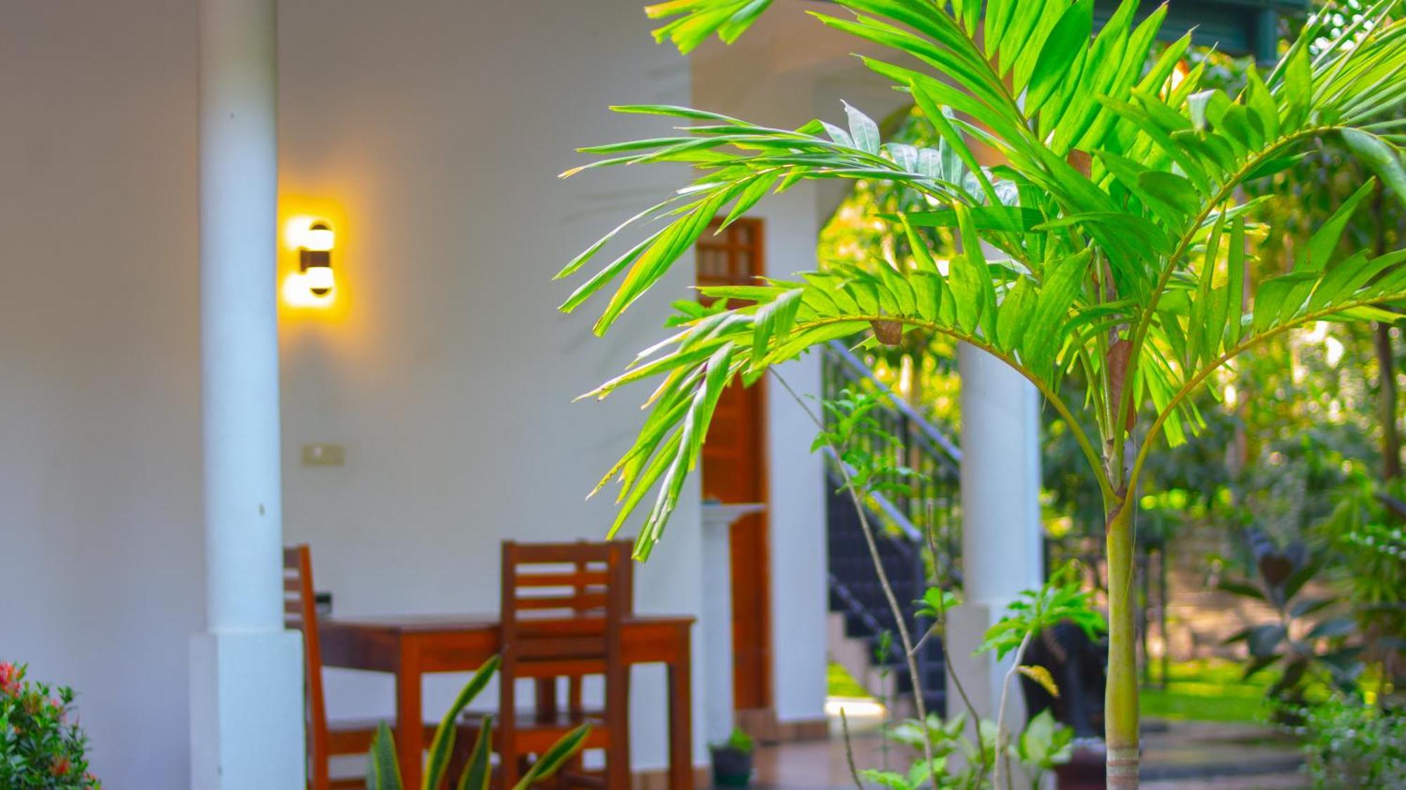 Yala Safari River View Hotel Tissamaharama Exterior photo